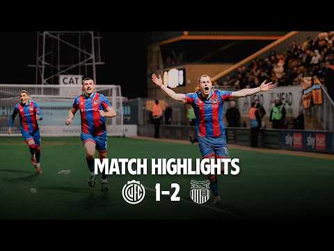 bg-highlight