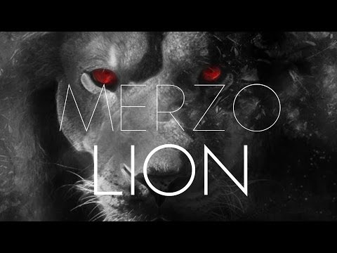 Merzo - Lion