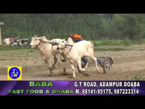 PANDORI RUKMAN KHED MELA ::TOP NEWS