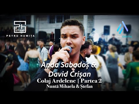 Anda Sabados & David Crisan - Colaj Ardelene | Partea 2 | Nunta Mihaela & Stefan