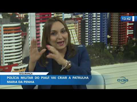 O DIA NEWS 22 01 2020  Flora Izabel (Dep. Federal PT-PI) - Patrulha Maria da Penha