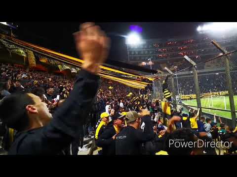 "Hinchada De Peñarol Vs. Fenix / Cl. 2019 / ðŸ’›ðŸ–¤ La Unica Hinchada Que Gana Partidos ðŸ–¤ðŸ’›" Barra: Barra Amsterdam • Club: Peñarol