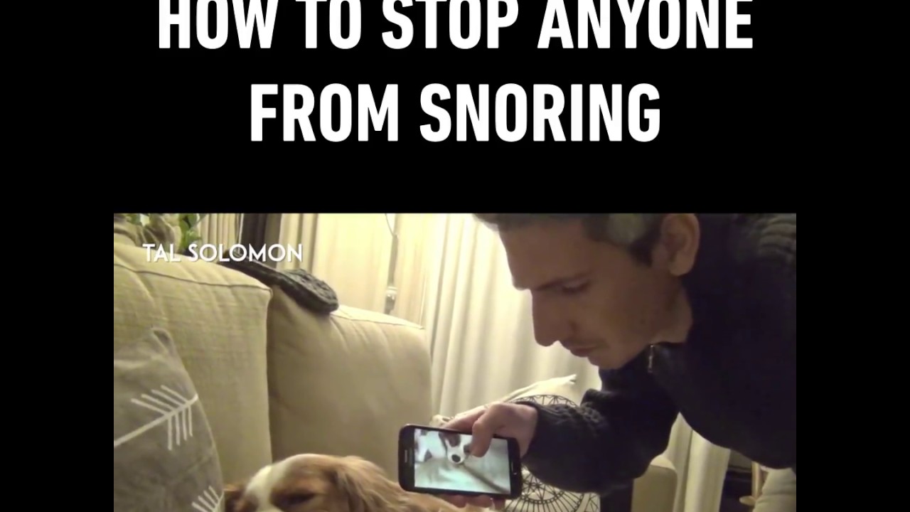 Share & Tag a mate who snores! (By Tal Solomon)