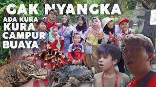 Download lagu Riot at Zoo, Shocked to Meet Turtles Mixed with Crocodiles, Tarantulas, Hamster Palace mp3 Download lagu Riot at Zoo, Shocked to Meet Turtles Mixed with Crocodiles, Tarantulas, Hamster Palace mp3