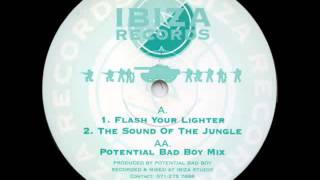 Potential Bad Boy - The Sound Of The Jungle [1994]