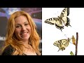 Valentina Monetta - Crisalide (Vola) Lyrics in ...