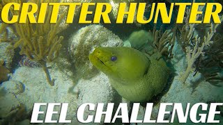 Critter Hunter Challenge - Eels - Ep 46