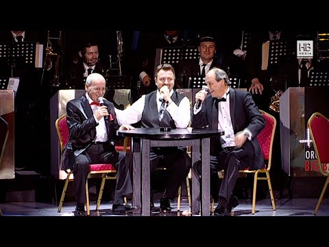 VAGABONDUL VIETII MELE - HORIA BRENCIU, NELU PLOIESTEANU, GEORGE ALEXANDRU, RAZVAN SIMION, DANI OTIL