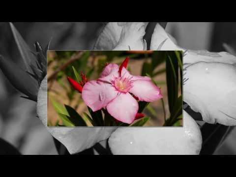 2ES - Невесомость