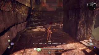 [PS5] 仁王3