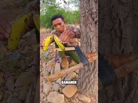 Die perfekte Lotus Tierfalle 💀