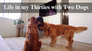 Day in the life | In my Thirties with Two Dogs No Kids, life with two golden retrievers