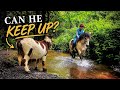 Can My Rescue Donkey Keep Up With My Young Stallion