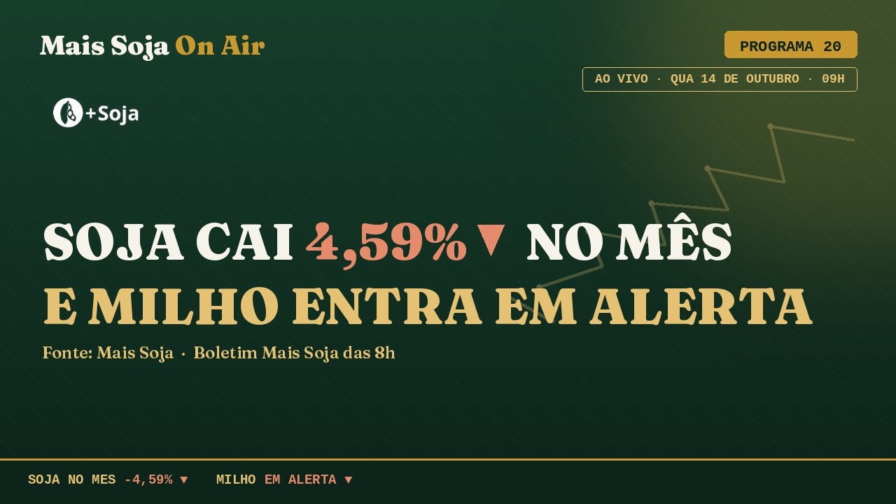 Soja cai 4,59% no mês | Milho em Alerta  | MAIS SOJA ON AIR