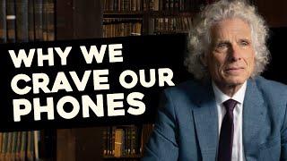"You can crave things that don't give you pleasure" - Steven Pinker Part 4