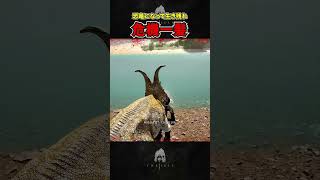 【恐竜として生き残れ】危機一髪#theisleevrima #theisle #恐竜 #ゲーム #ゲーム実況#ワニ #デイノスクス