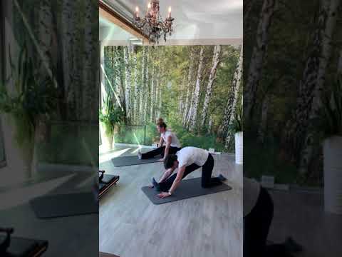 tri-dent VitalitätsOase Falkensee - Yoga Energiestellung 3C Kopf-Knie-Stellung