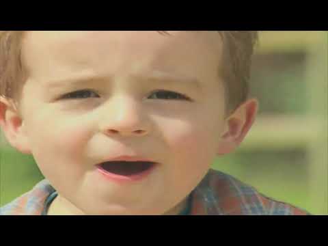 Teletubbies: Series 10: Circles