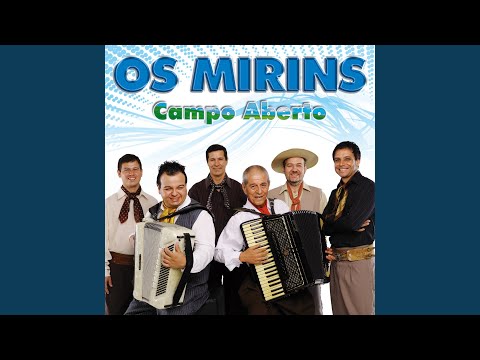 Vanerinha Do Coração - Os Mirins