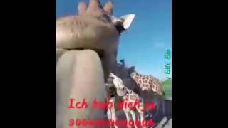 😄 Ich hab dich ja so lieb! Schöne Pfingsten ! 😄