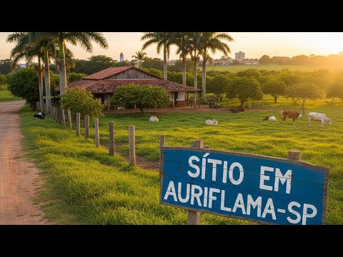 Esse lindo sítio fica em Auriflama,  interior de São Paulo 