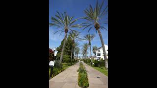 Gucci Mane - Tone It Down (432hz) (Feat. Chris Brown)