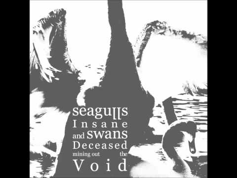 Seagulls Insane and Swans Deceased Mining Out the Void - s/t [Full - HD]