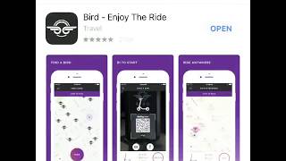 How to Ride a Bird Scooter: Full Instructions + Free Ride Promo Code: BZWZMJZ