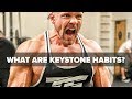 4 Keystone Habits to Optimize Your Life!