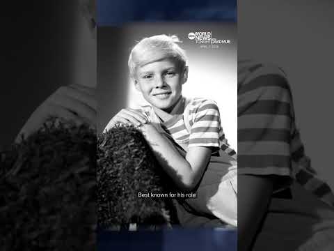 Fallece Jay North, estrella de la serie original Dennis the Menace, a los 73 años