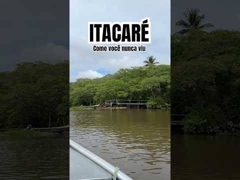 MANGUES DE ITACARÉ  #turismo #bahia #itacaré #manguezal