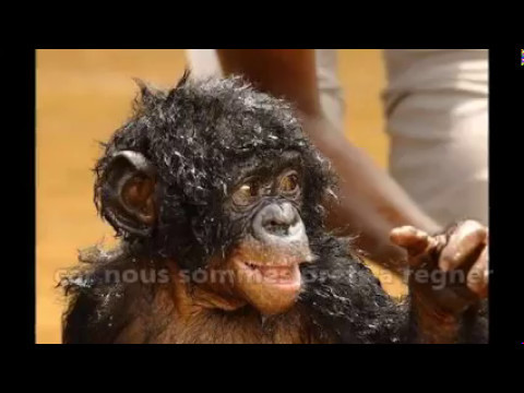 La lettre .(Slam de Jules Champaloux)