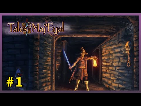 Tales of Maj'Eyal - A true classical Roguelike