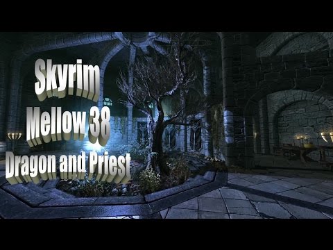 Checkers' Mellow Skyrim Let's Play Part 38 - Dragon and Priest