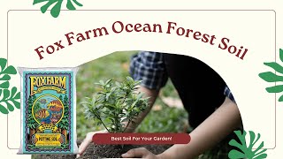 Transform Your Garden with Fox Farm Ocean Forest Soil