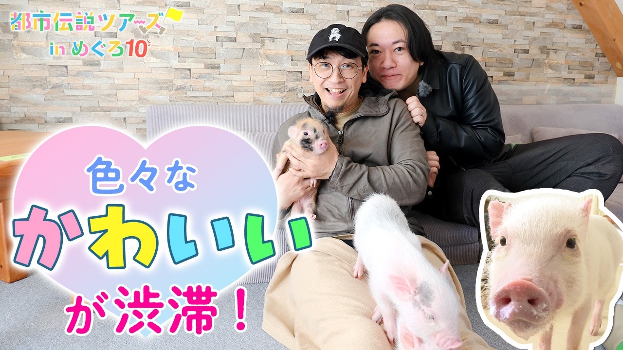 目黒競馬場の跡地で走り、マイクロブタに癒される【都市伝説ツアーズ】