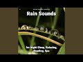 Magnificent Rain