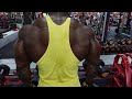 Training Rear Delts & Why I Paused My Offseason for 2Weeks