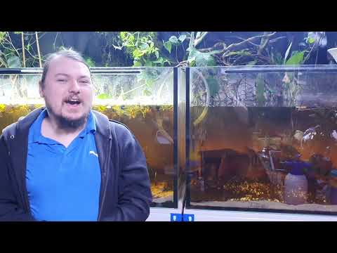 Das Filterlose Aquarium mit Bachlauf - sauberes Wasser ohne Filter