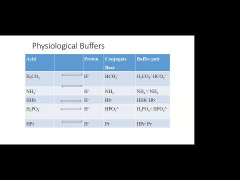 Acid Base Disorders