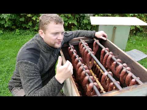 download lagu mp3 mp4 Scandinavian Meats, download lagu Scandinavian Meats gratis, unduh video klip Scandinavian Meats