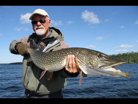 Big Pike of Esnagami Lake Lodge | Ontario