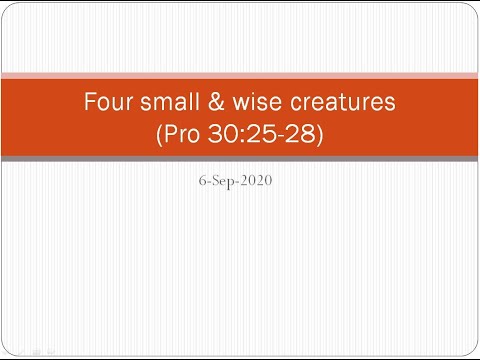 Four small & wise creatures (Pro 30:25-28)