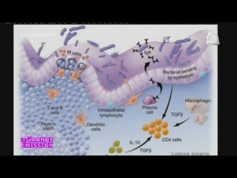 comment soigner ballonnement gazs intestinaux