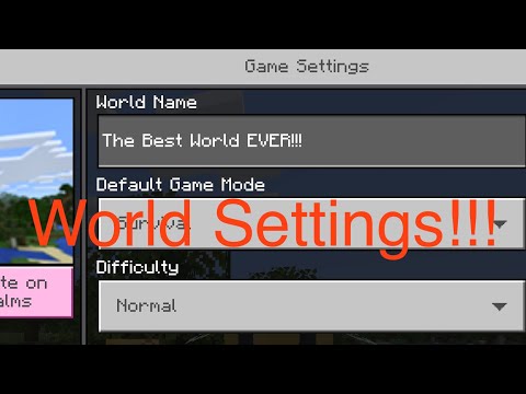 How to Use WORLD SETTINGS to Optimize Your Experience in Minecraft Bedrock Edition!!!