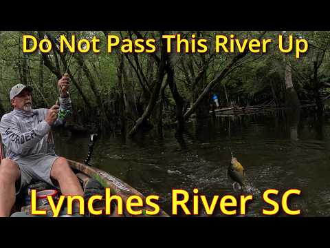 Catch-Clean-Cook GIANT Bream & Shellcrackers! (South Carolina River Feast