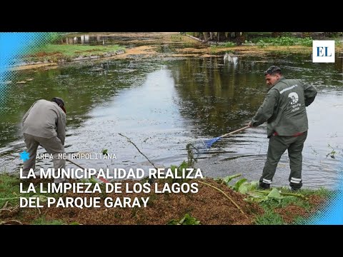 Limpian los lagos del Parque Garay para frenar la proliferación de especies acuáticas invasoras