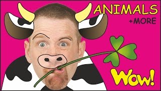 Animals for Children | Kids Short Stories from Steve and Maggie | Learn English with Wow English TV