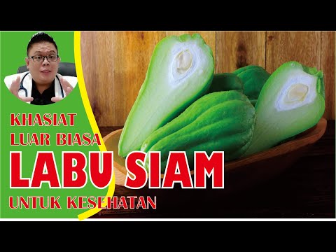 , title : 'KHASIAT LABU SIAM UNTUK KESEHATAN YANG HARUS DIKETAHUI'