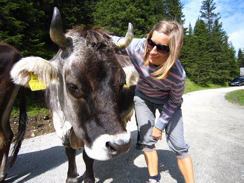 Heuschober-Polka von Gottlieb Weißbacher
